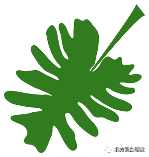 2018082813371535434649932059545.png 1.png